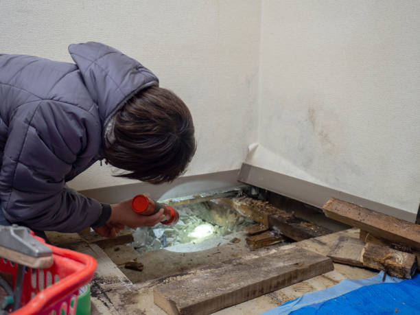  Riverside, OH Mold Removal Pros