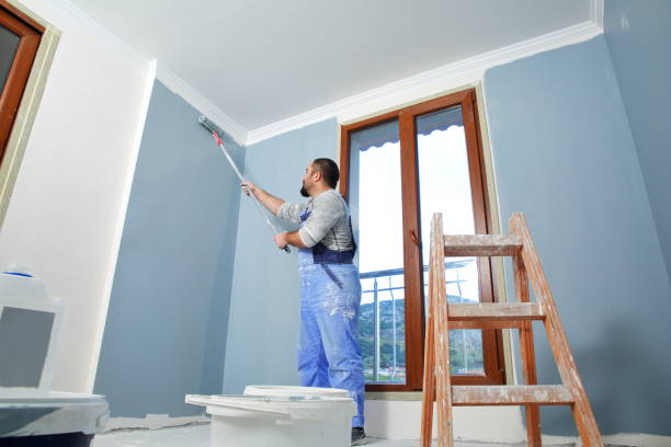 Best Post-Construction Mold Inspection  in Riverside, OH