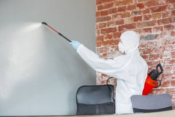 Best Commercial Mold Inspection  in Riverside, OH