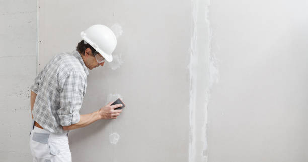 Trusted Riverside, OH Mold Removal Experts