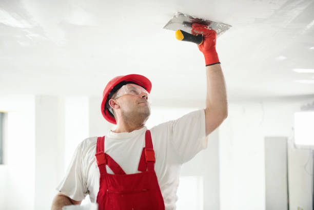 Best Residential Mold Inspection & Testing  in Riverside, OH