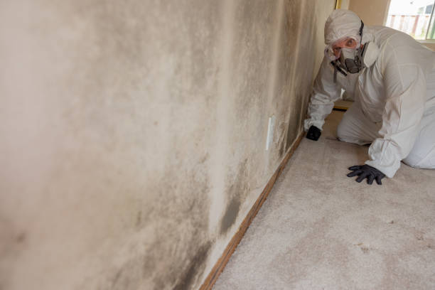 Dehumidification Services in Riverside, OH