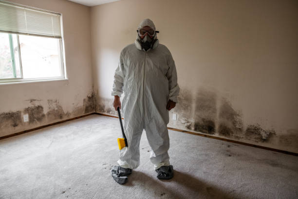 Best Mold Removal for HVAC Installations  in Riverside, OH